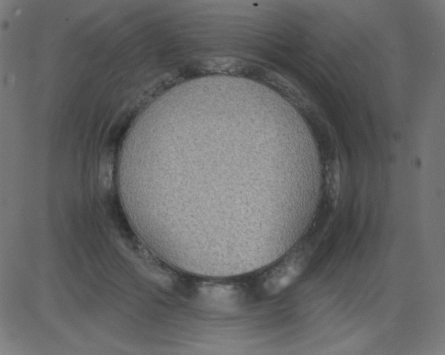 X0000081310602200702012336