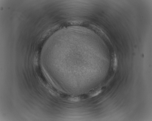 X0000081310604200702012336