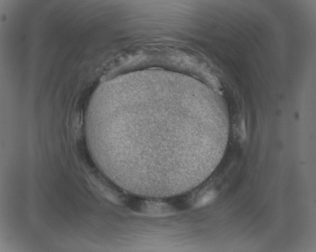 X0000081310605200702012336