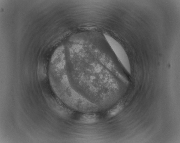 X0000081310606200702012336