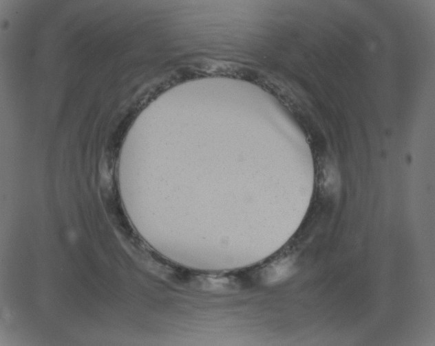 X0000081310607200702012336