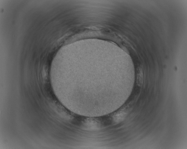 X0000081310608200702012336