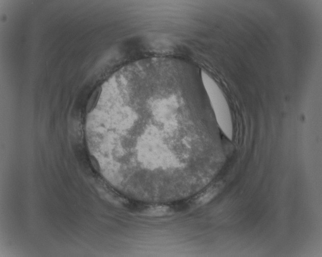 X0000081310609200702012336