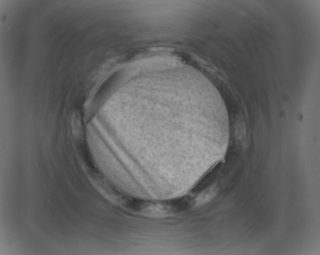 X0000081310611200702012336