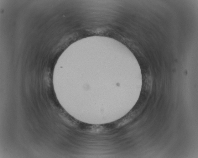 X0000081310612200702012336