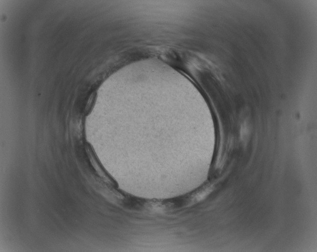 X0000081310613200702012336