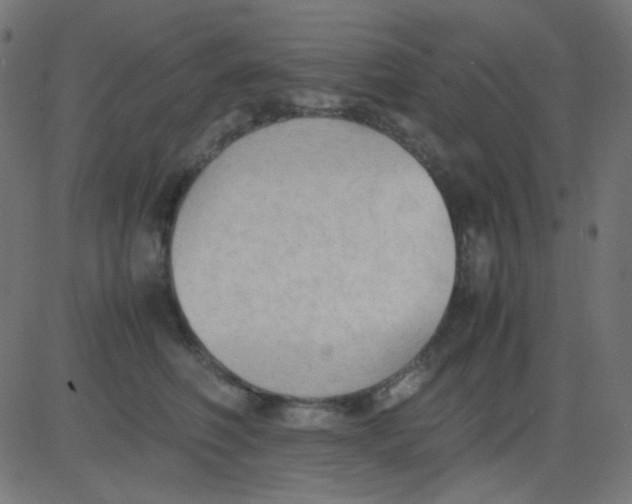 X0000081310614200702012336