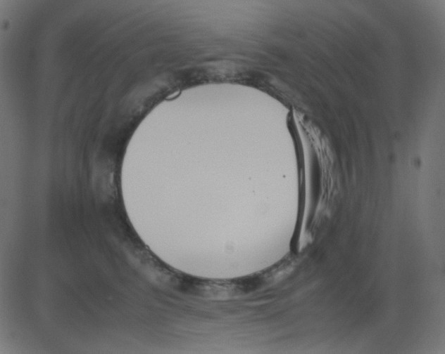 X0000081310615200702012336