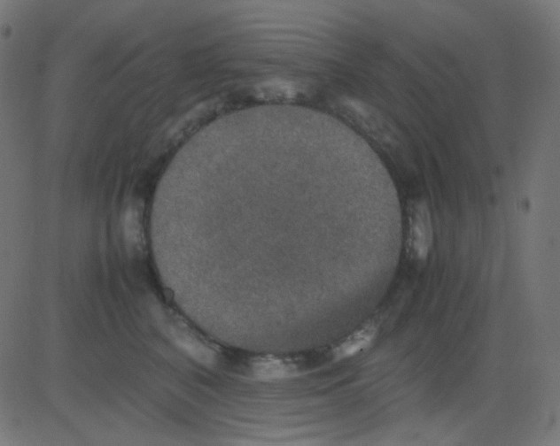 X0000081310616200702012336