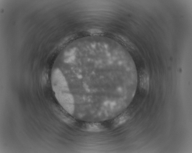 X0000081310618200702012336