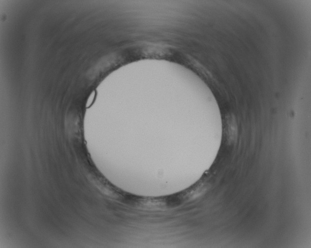 X0000081310619200702012336