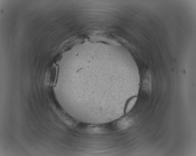 X0000081310620200702012336