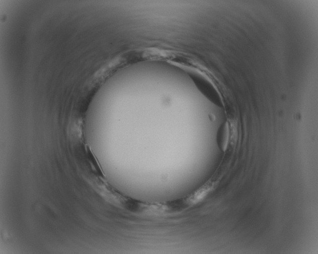 X0000081310621200702012336