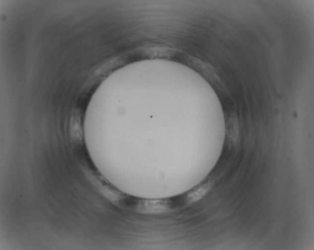 X0000081310622200702012336