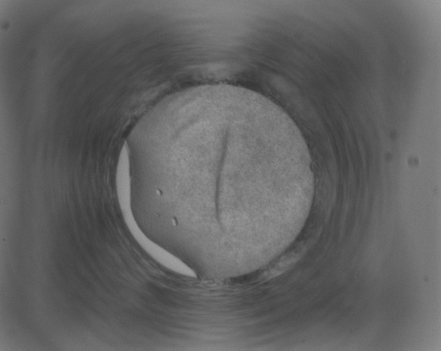 X0000081310624200702012336