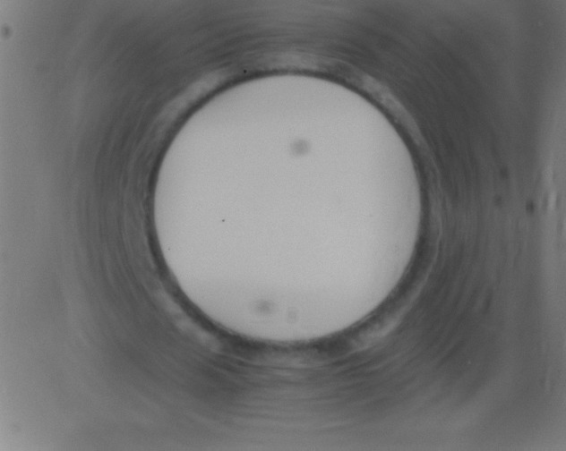 X0000081310625200702012335