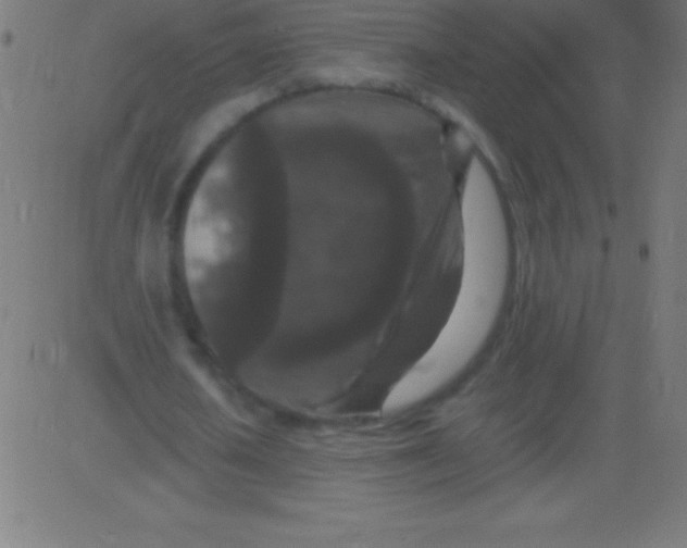 X0000081310626200702012335