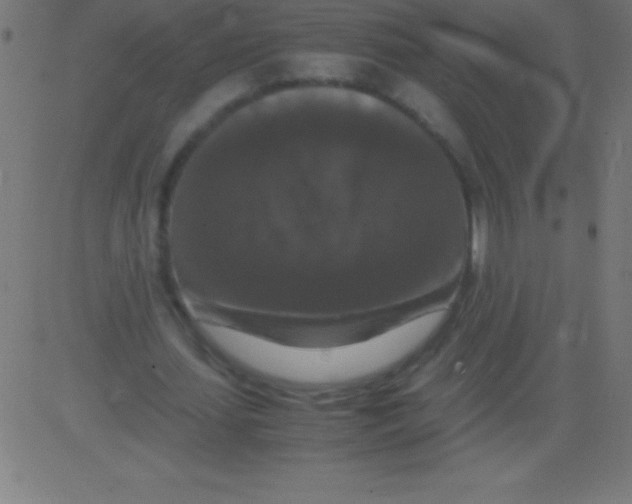 X0000081310627200702012335