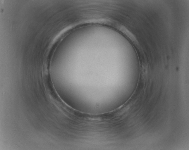 X0000081310628200702012335