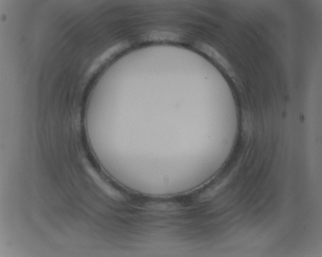 X0000081310629200702012335