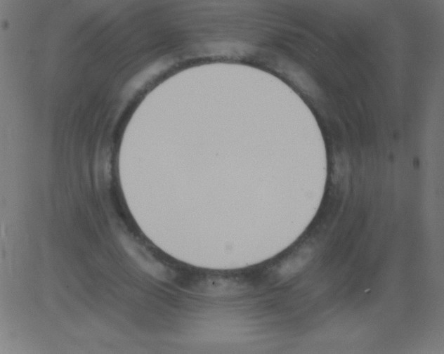 X0000081310632200702012335