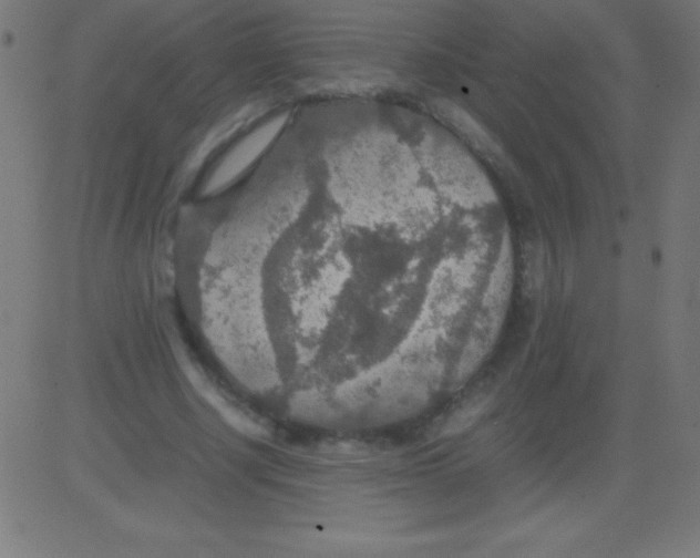 X0000081310634200702012335