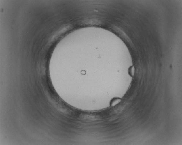 X0000081310635200702012335