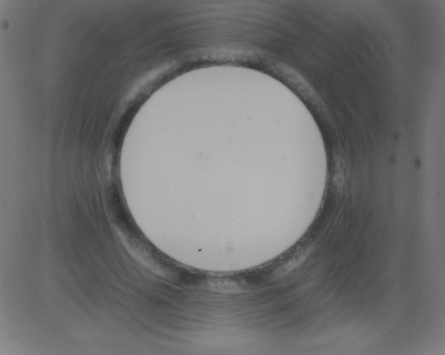 X0000081310636200702012335