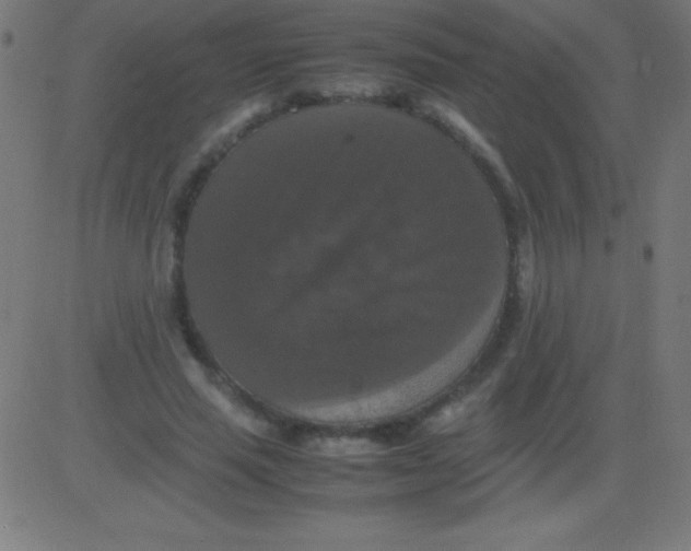 X0000081310637200702012335