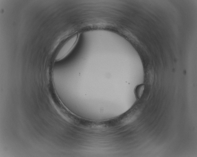 X0000081310638200702012335