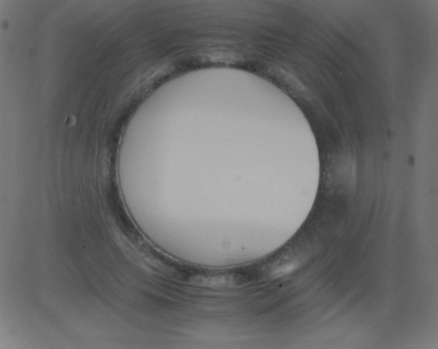 X0000081310639200702012335