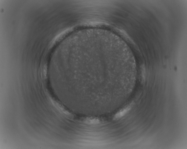 X0000081310640200702012335