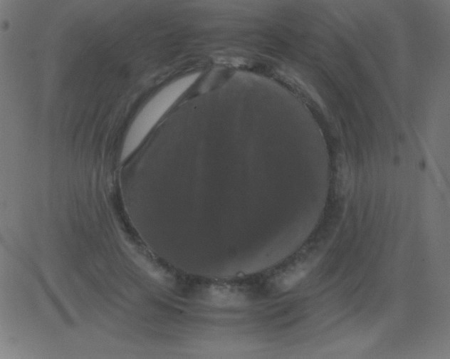 X0000081310641200702012335