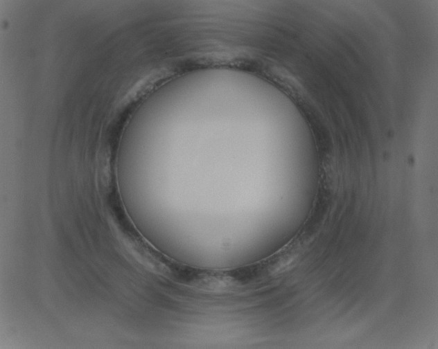 X0000081310642200702012335