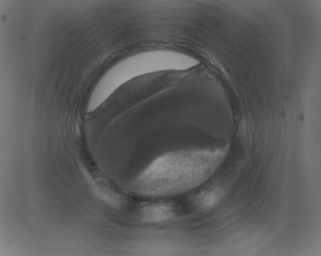 X0000081310643200702012335