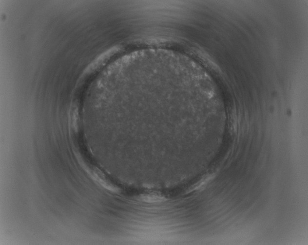 X0000081310644200702012335