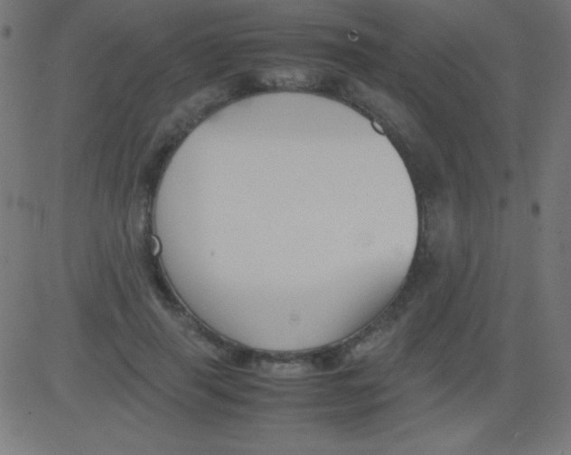 X0000081310645200702012335