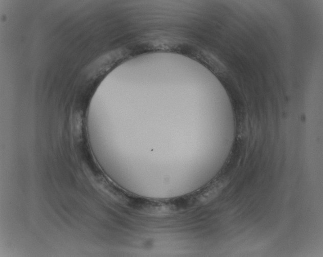 X0000081310646200702012335