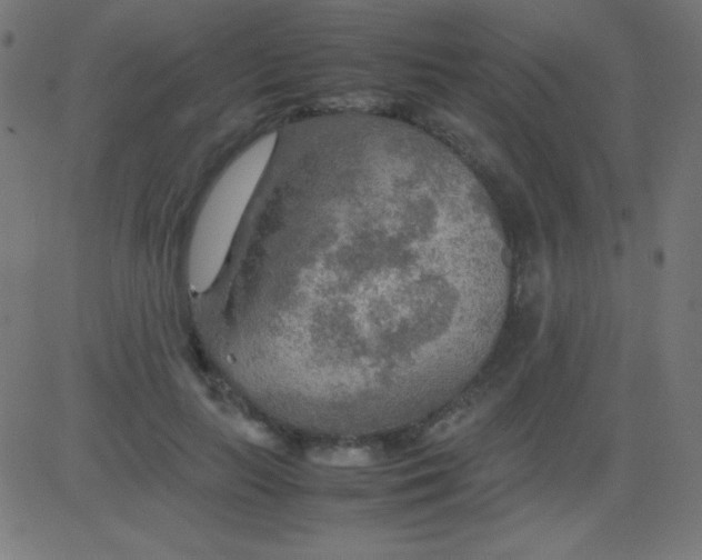 X0000081310647200702012335