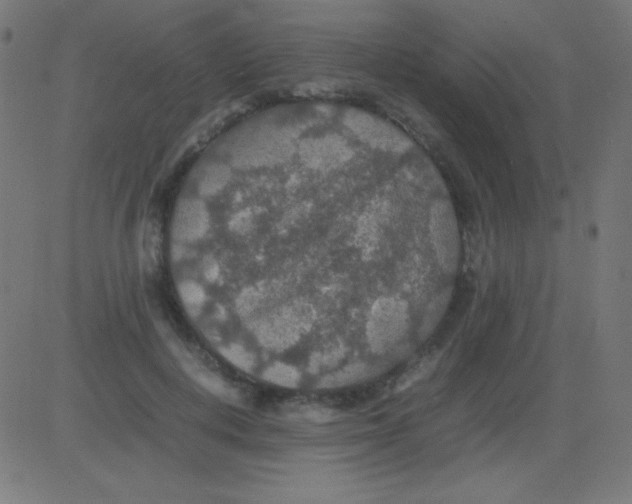 X0000081310648200702012335