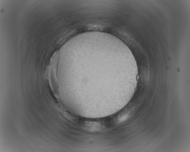 X0000081310649200702012335