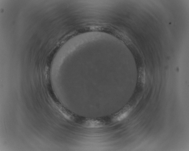 X0000081310650200702012335