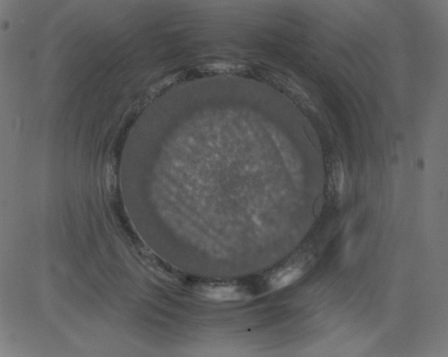 X0000081310651200702012335