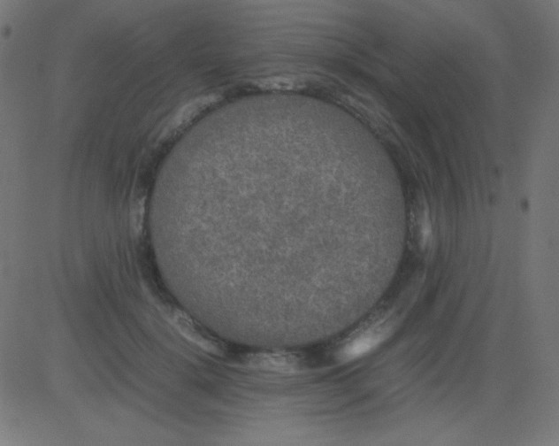 X0000081310652200702012335