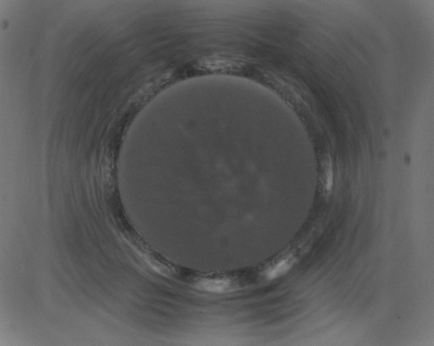 X0000081310653200702012335