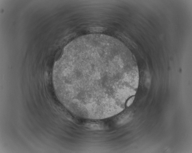 X0000081310655200702012335