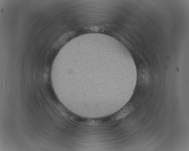 X0000081310656200702012335