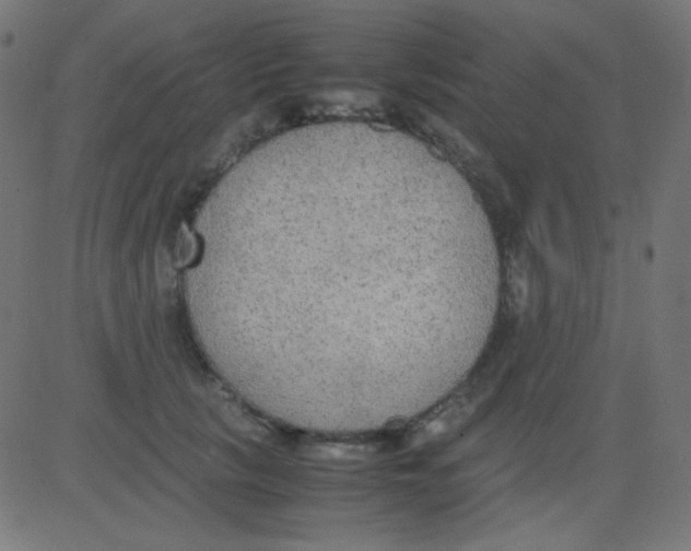 X0000081310657200702012335