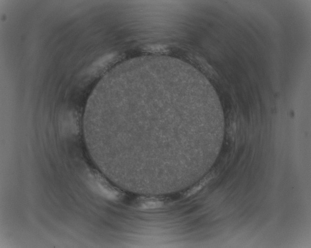 X0000081310658200702012335