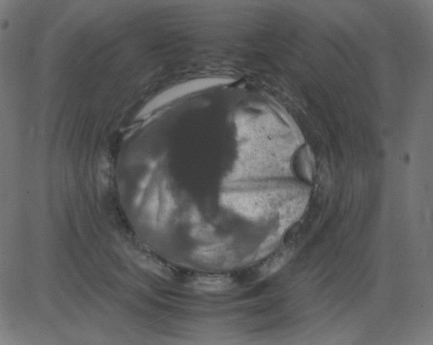 X0000081310659200702012335